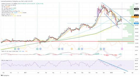 NVIDIA株主優待はあるの？意外な事実に驚愕！